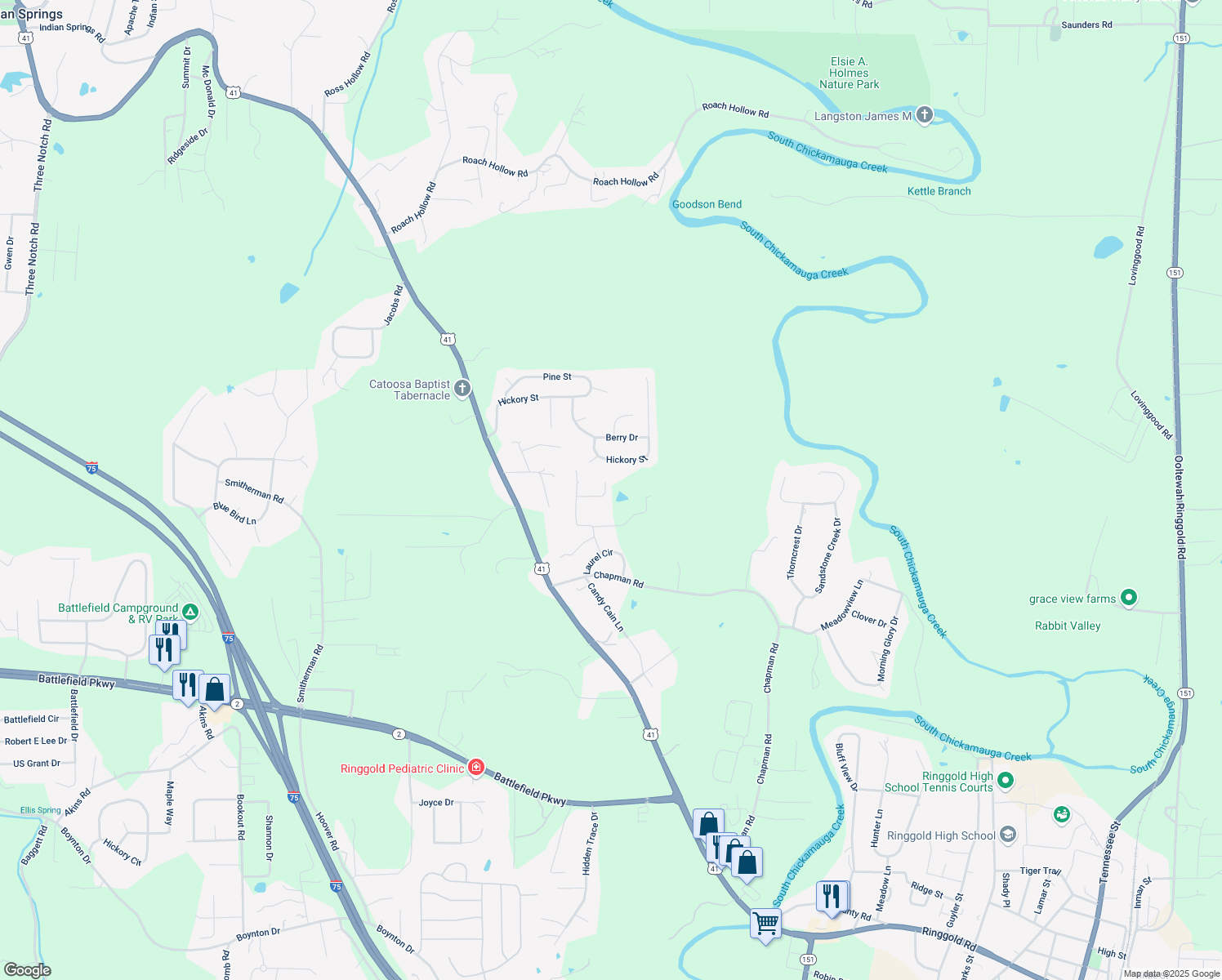 map of restaurants, bars, coffee shops, grocery stores, and more near 88 Golden Oak Drive in Ringgold