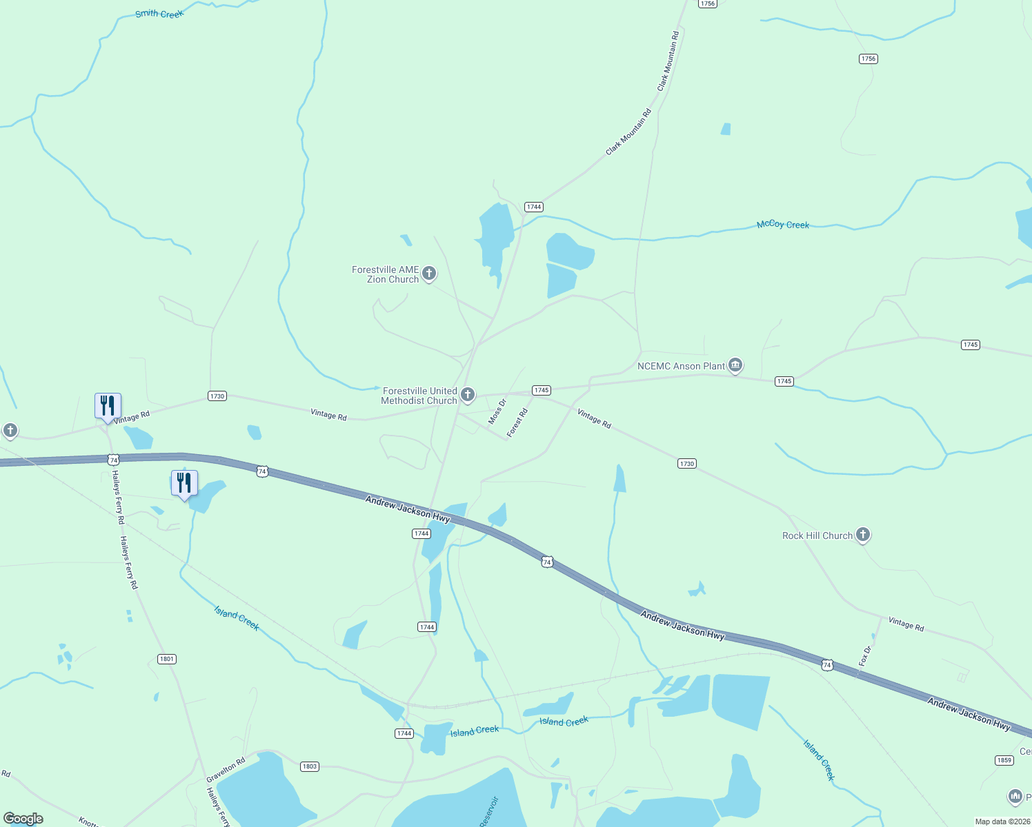 map of restaurants, bars, coffee shops, grocery stores, and more near 303 Forest Rd in Lilesville