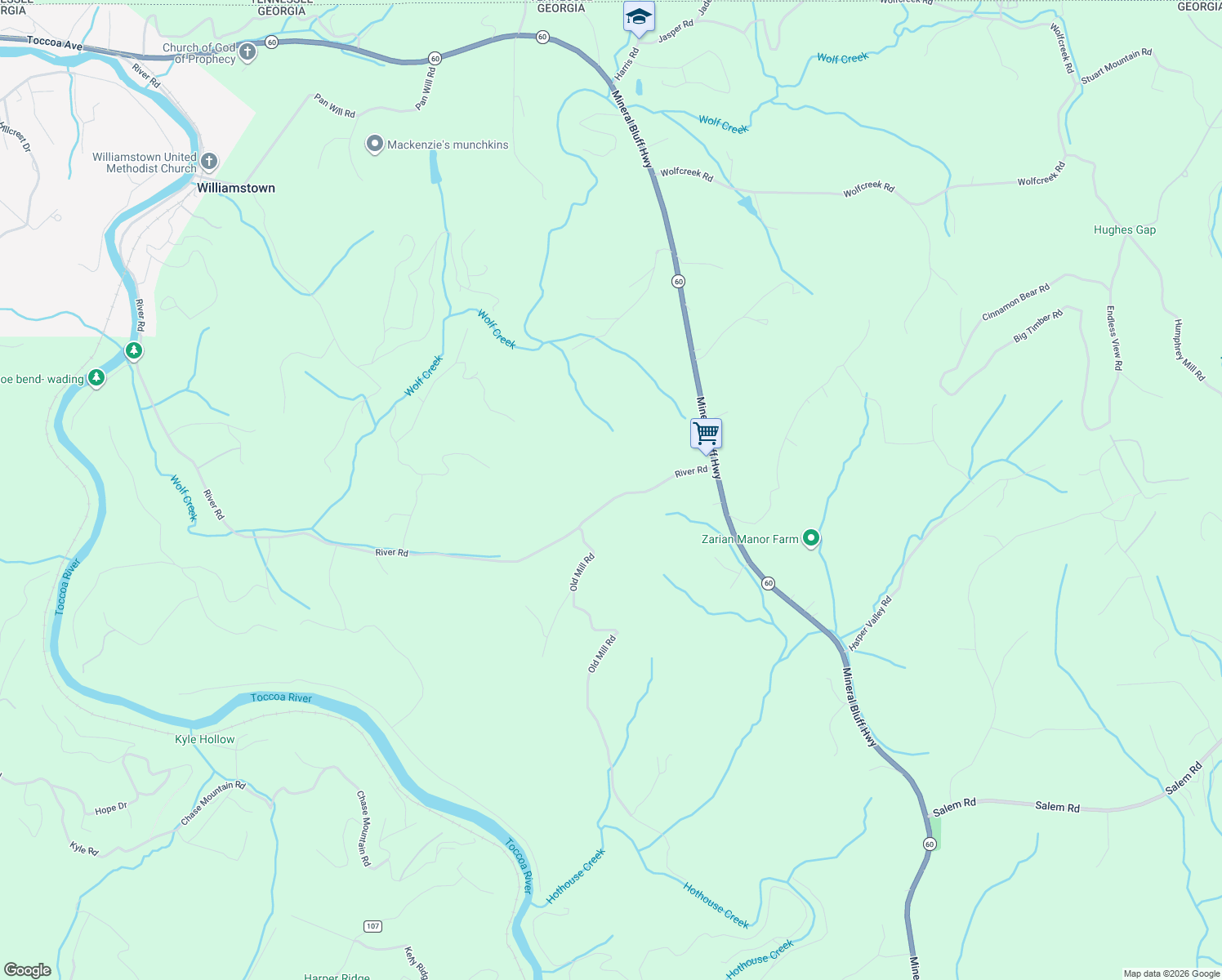map of restaurants, bars, coffee shops, grocery stores, and more near 2975 River Road in Mineral Bluff