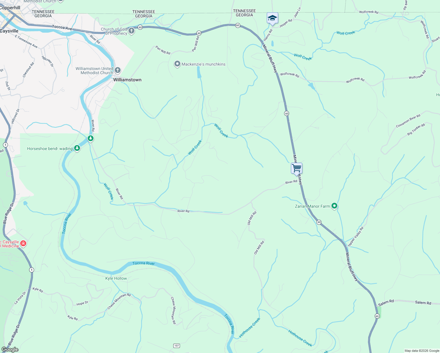 map of restaurants, bars, coffee shops, grocery stores, and more near 281 South Williamstown Ridge in Mineral Bluff