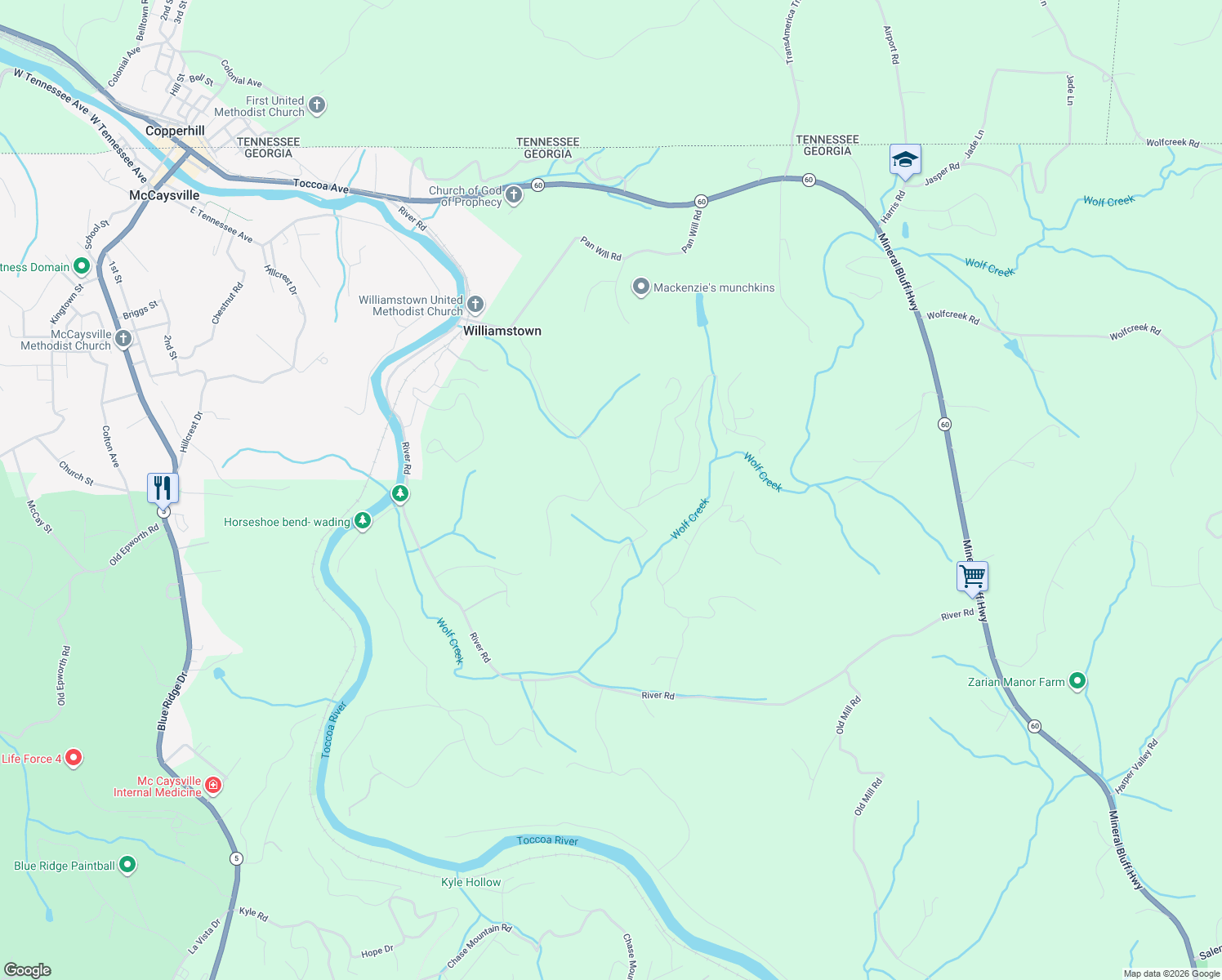 map of restaurants, bars, coffee shops, grocery stores, and more near 777 Williamstown Road in Mineral Bluff