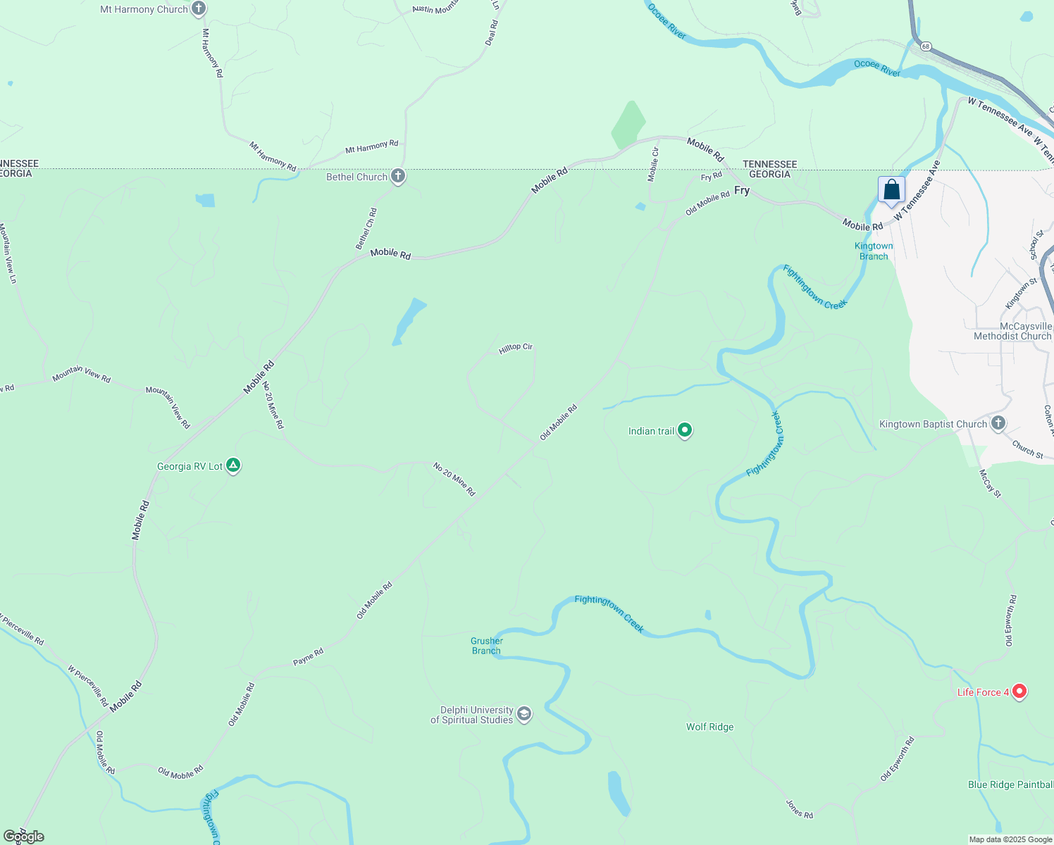 191 Hilltop Circle, McCaysville GA Walk Score
