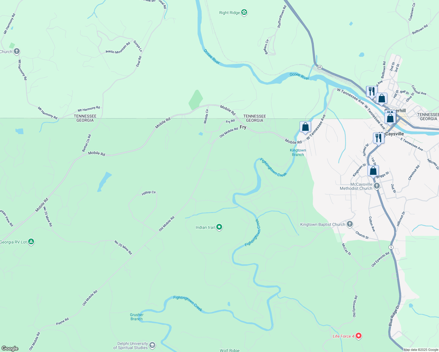 168 Fightingtown Creek Road, Epworth GA Walk Score