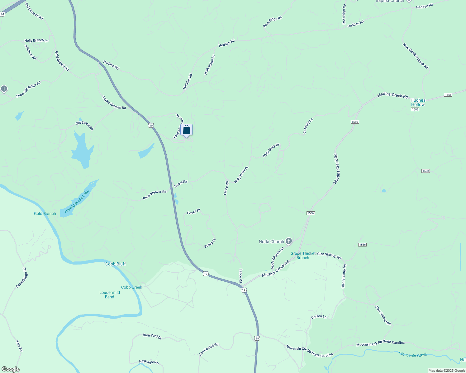 map of restaurants, bars, coffee shops, grocery stores, and more near 19 Holly Berry Drive in Murphy