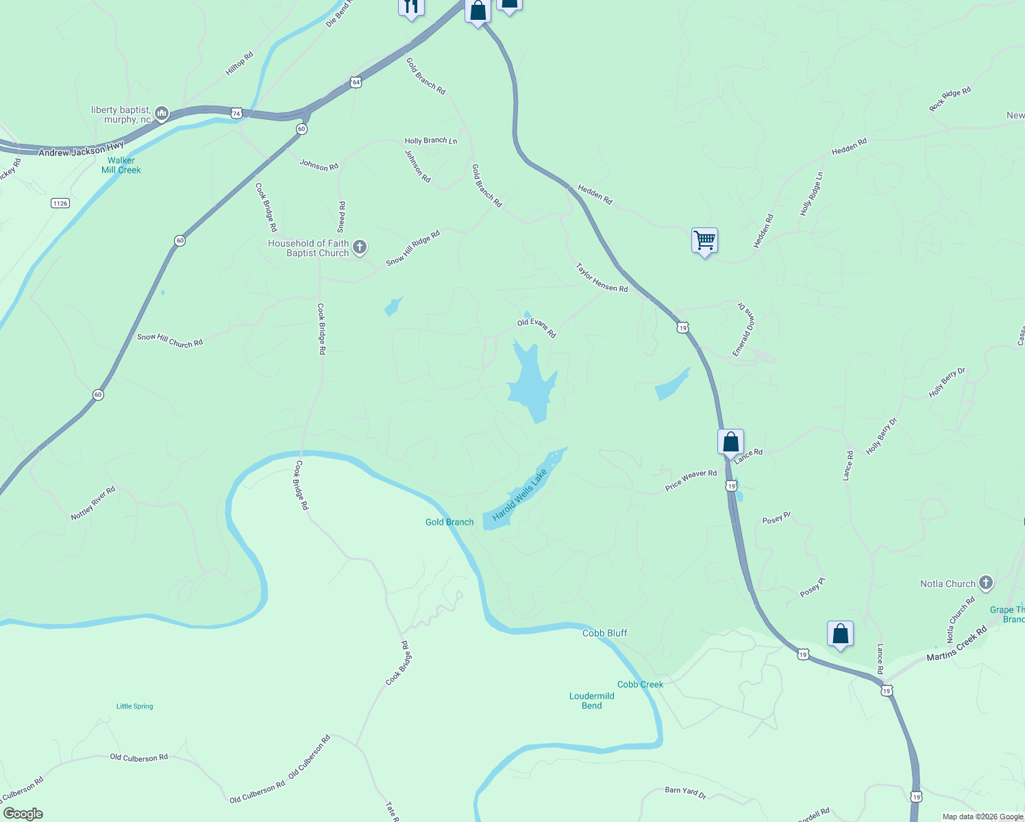 map of restaurants, bars, coffee shops, grocery stores, and more near 87 Lake Wells in Murphy