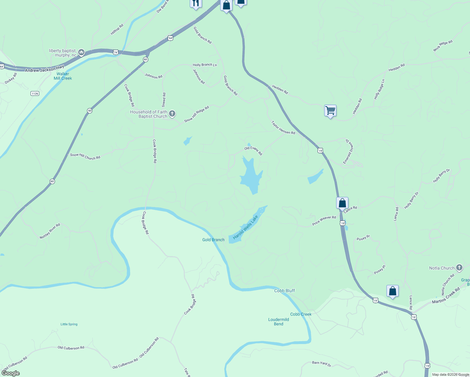 map of restaurants, bars, coffee shops, grocery stores, and more near 9 Lake Wells in Murphy