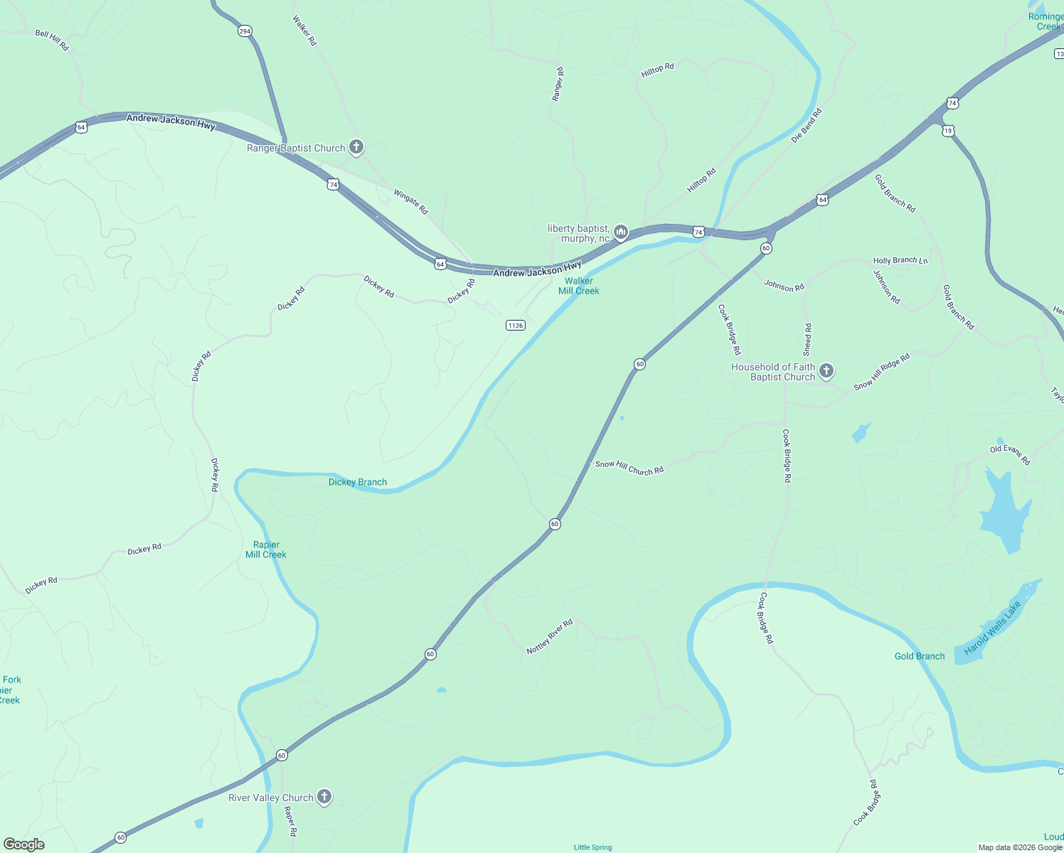 map of restaurants, bars, coffee shops, grocery stores, and more near 246 Ross Ridge Road in Murphy