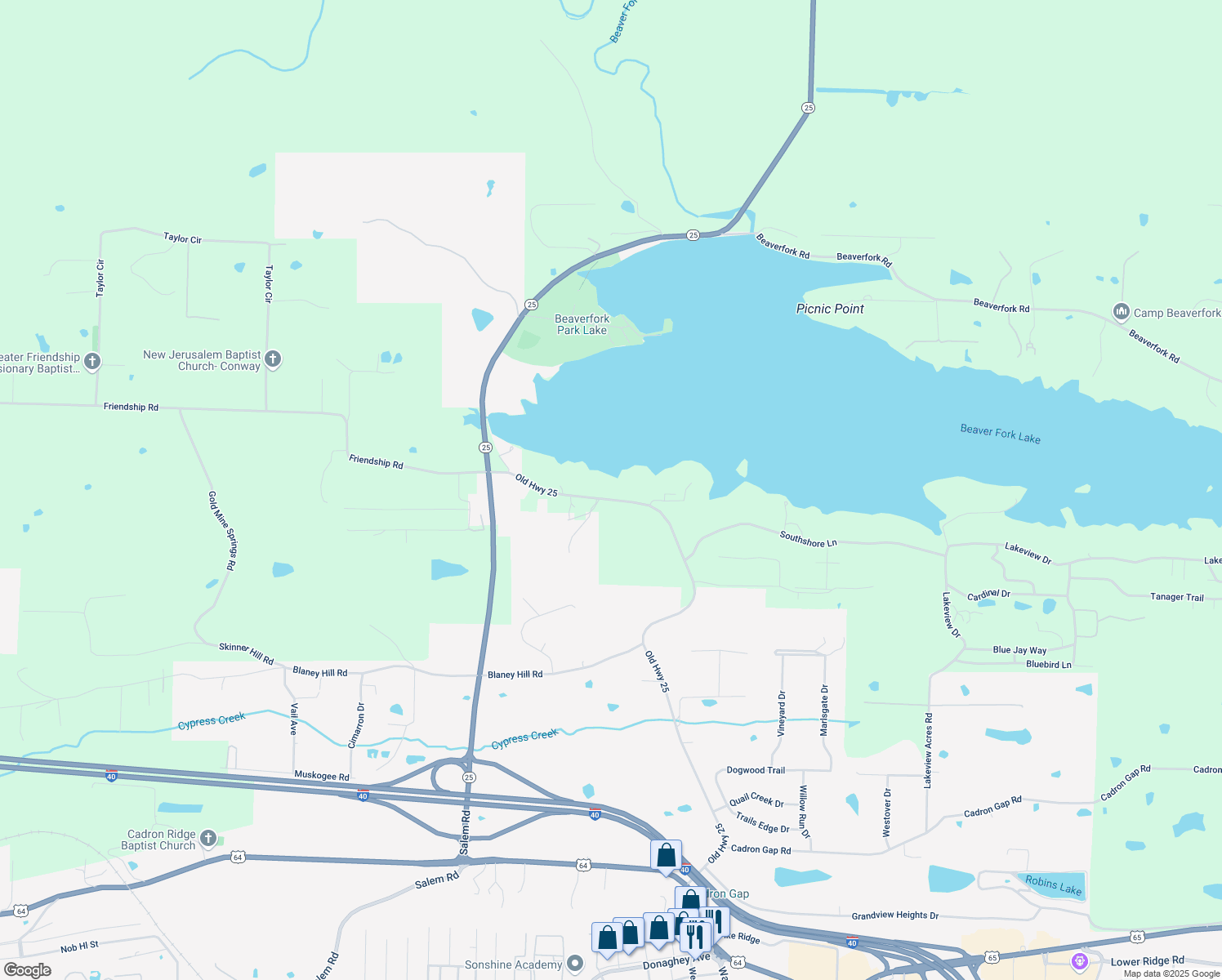 map of restaurants, bars, coffee shops, grocery stores, and more near 3740 Friendship Road in Conway