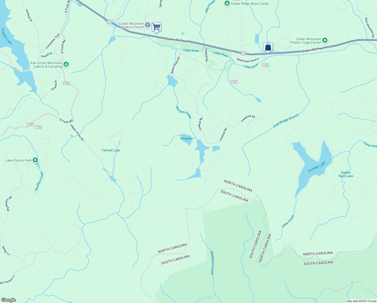 map of restaurants, bars, coffee shops, grocery stores, and more near 243 Purple Finch Road in Brevard