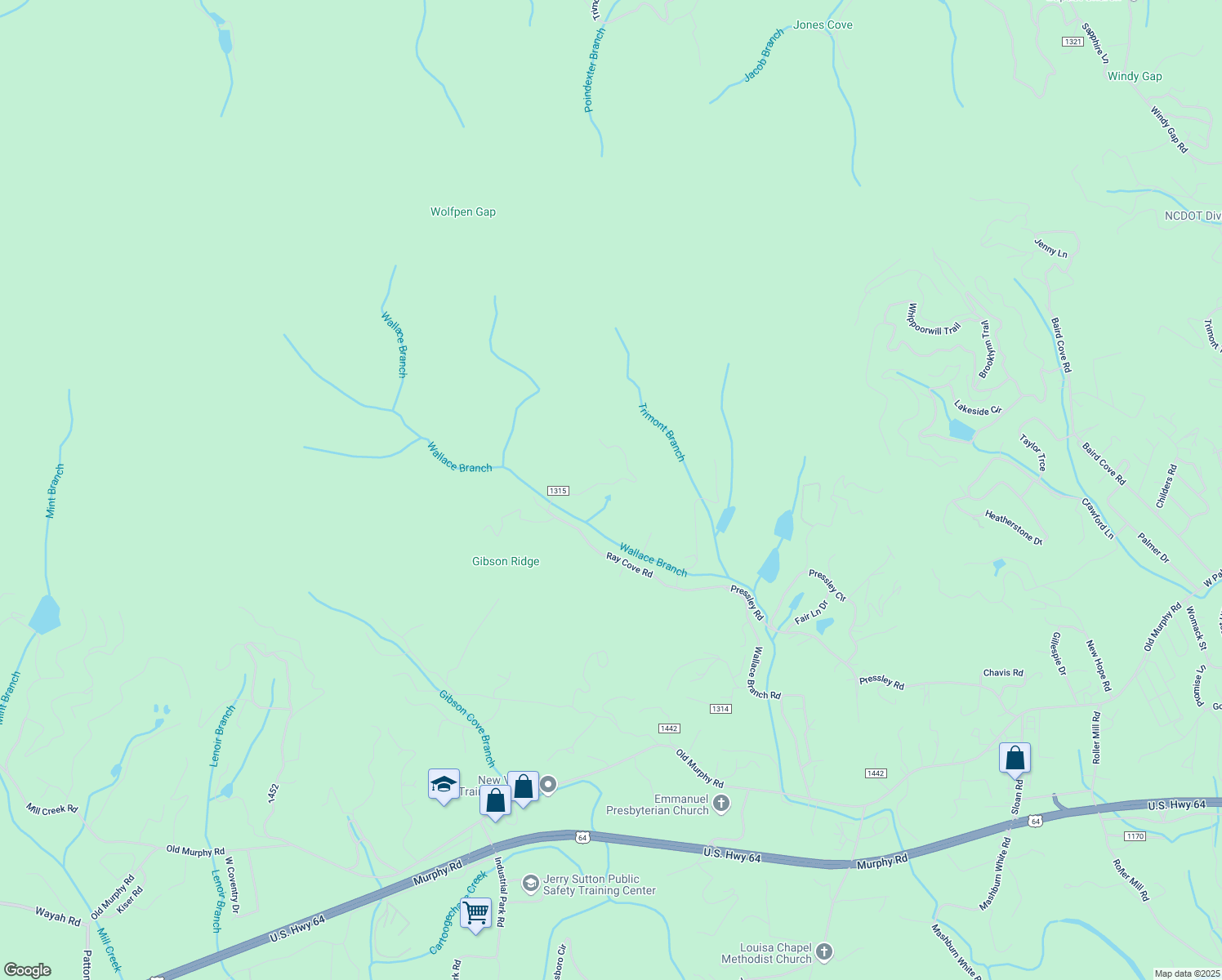 map of restaurants, bars, coffee shops, grocery stores, and more near 253 Cricket Lane in Franklin
