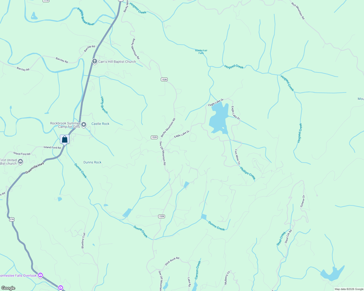 map of restaurants, bars, coffee shops, grocery stores, and more near 205 Walnut Ridge Road in Brevard