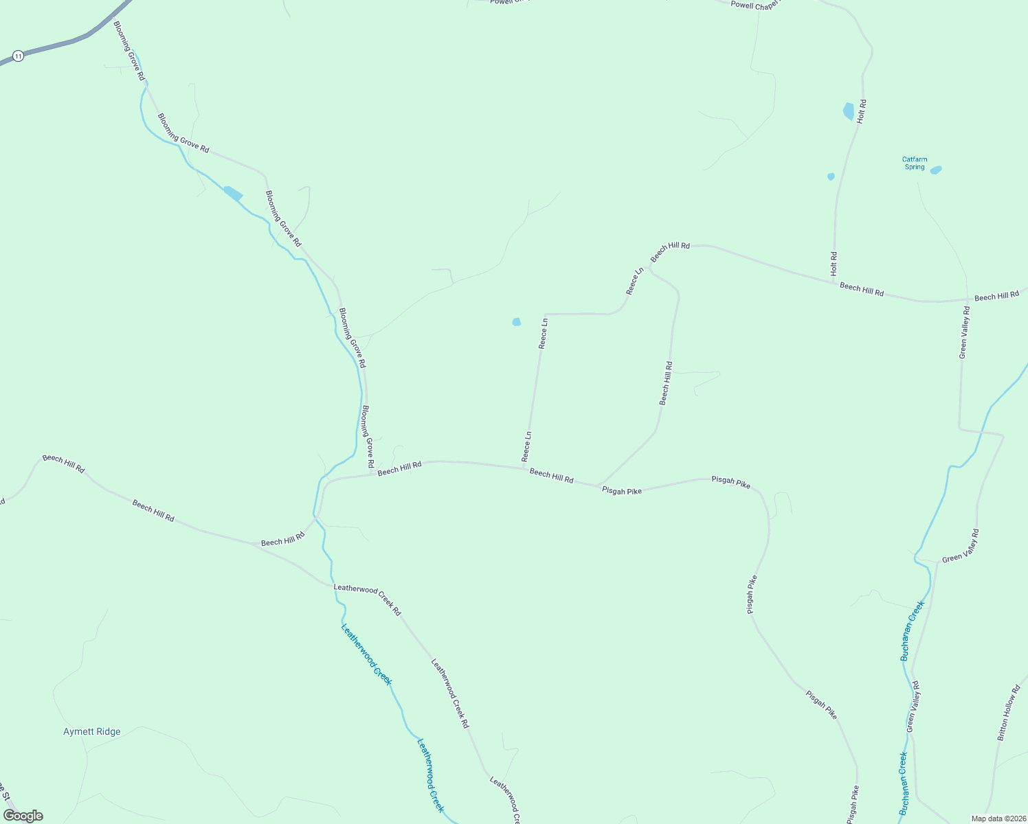 map of restaurants, bars, coffee shops, grocery stores, and more near 203 Reece Lane in Pulaski