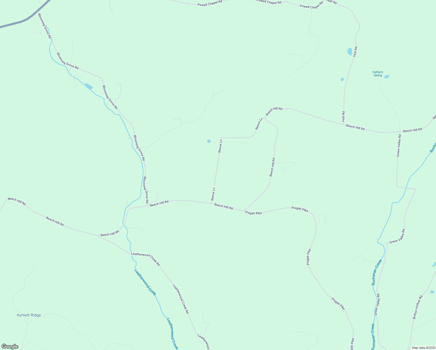 map of restaurants, bars, coffee shops, grocery stores, and more near 203 Reece Lane in Pulaski