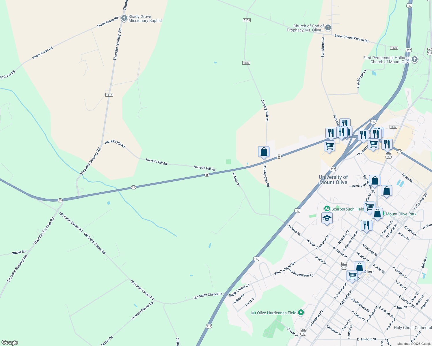 North Carolina 55, Mount Olive NC Walk Score