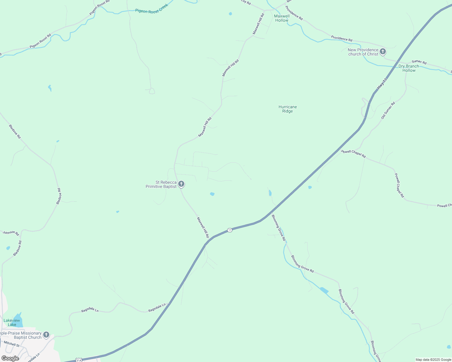 map of restaurants, bars, coffee shops, grocery stores, and more near in Pulaski