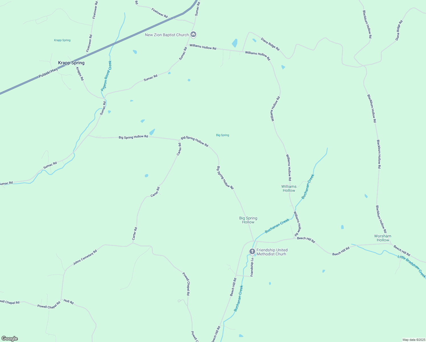map of restaurants, bars, coffee shops, grocery stores, and more near 495 Carter Road in Pulaski