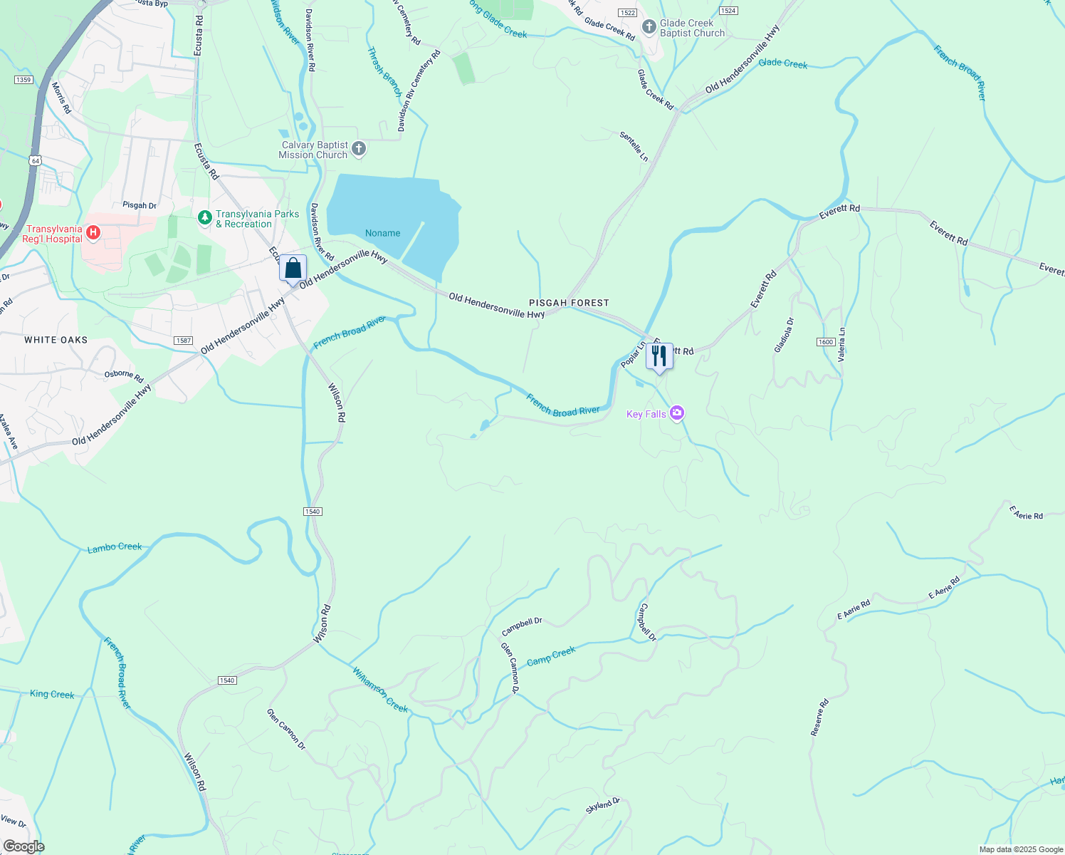 map of restaurants, bars, coffee shops, grocery stores, and more near 551 Poplar Lane in Pisgah Forest