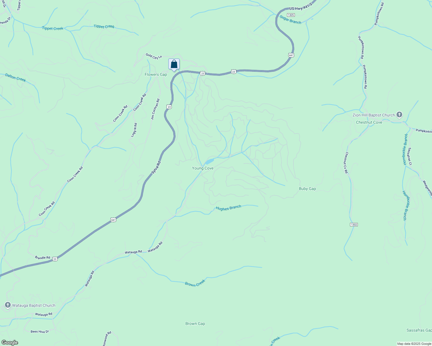 map of restaurants, bars, coffee shops, grocery stores, and more near 295 Young Cove Road in Franklin