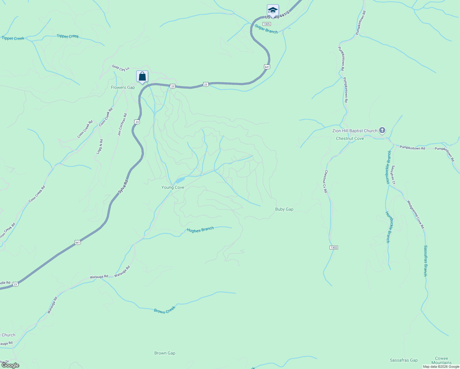 map of restaurants, bars, coffee shops, grocery stores, and more near 874 Young Cove Road in Franklin