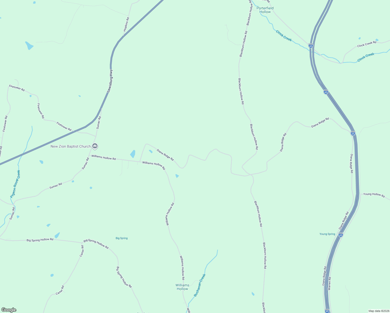 map of restaurants, bars, coffee shops, grocery stores, and more near 859 Diana Ridge Road in Pulaski