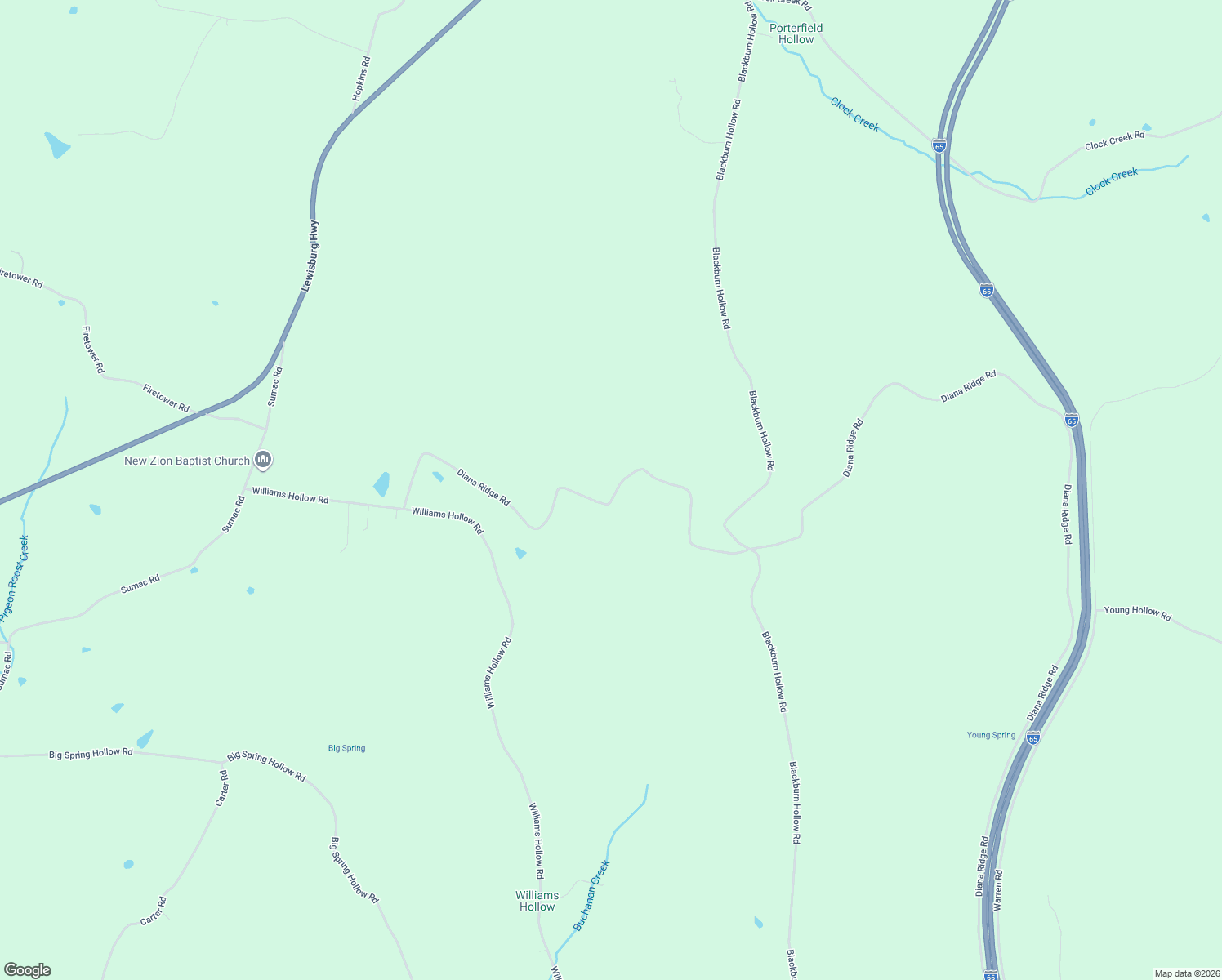 map of restaurants, bars, coffee shops, grocery stores, and more near 859 Diana Ridge Road in Pulaski