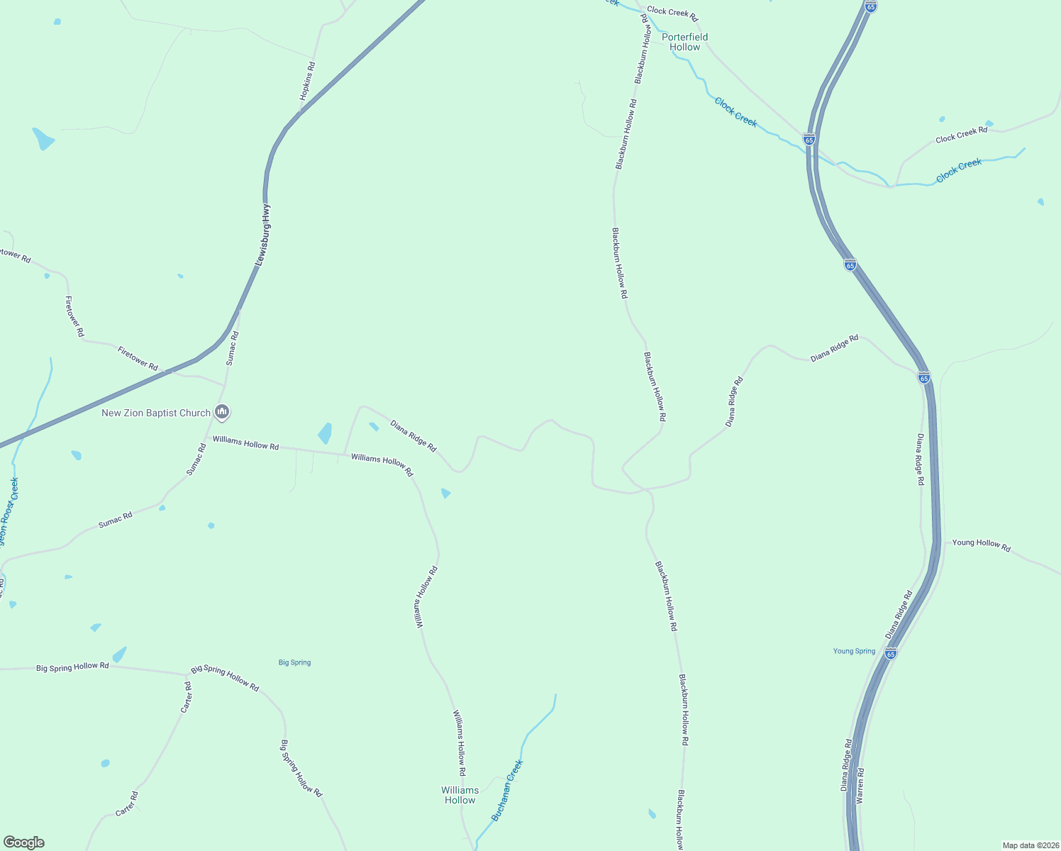 map of restaurants, bars, coffee shops, grocery stores, and more near 1100 Diana Ridge Road in Pulaski