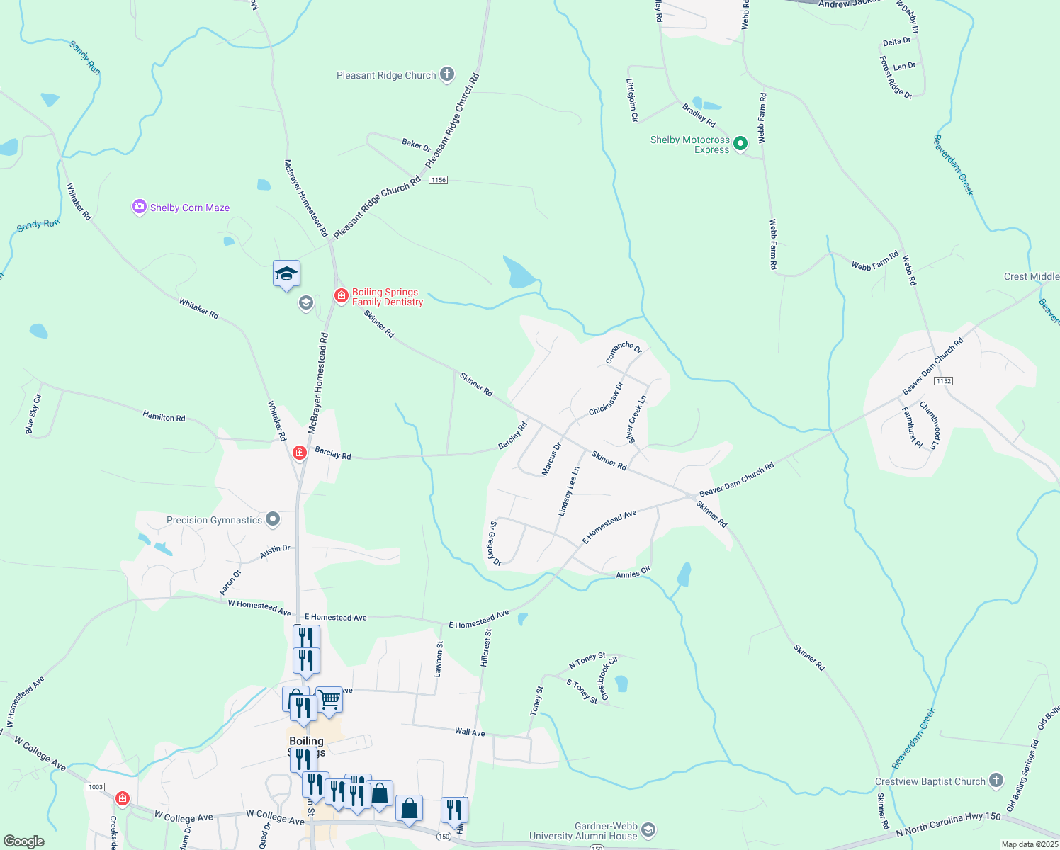 map of restaurants, bars, coffee shops, grocery stores, and more near 706 Skinner Rd in Shelby