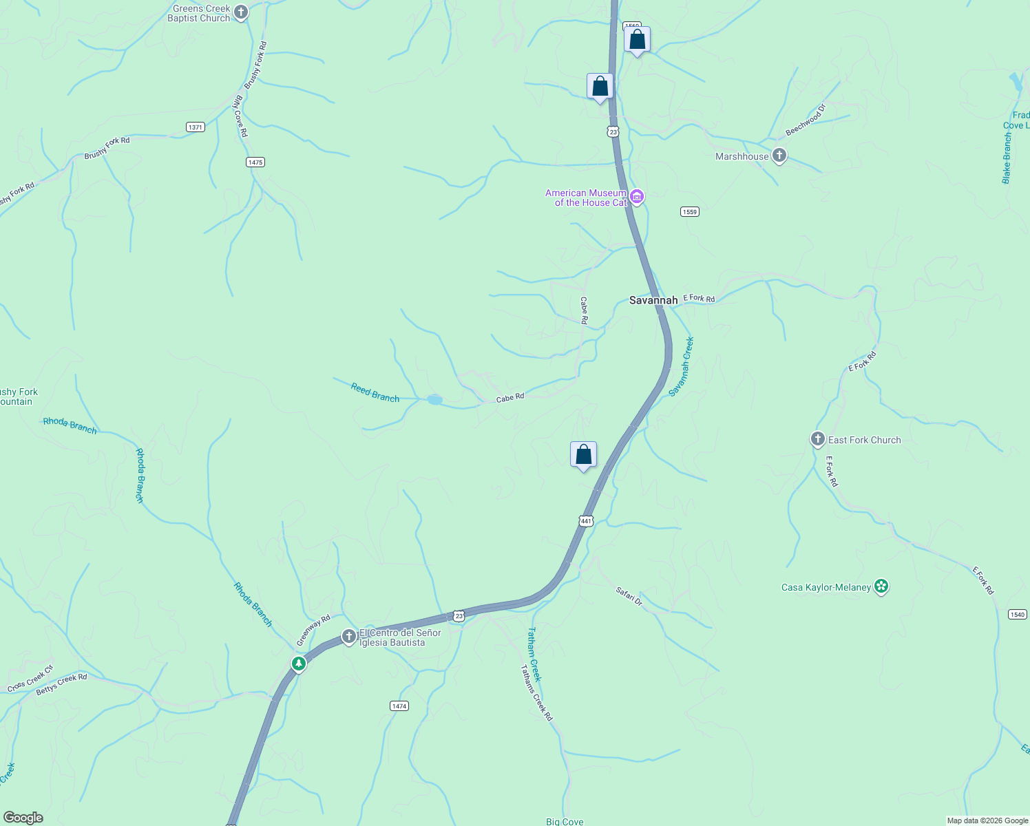 map of restaurants, bars, coffee shops, grocery stores, and more near 41 Lacy Fern Ridge in Sylva