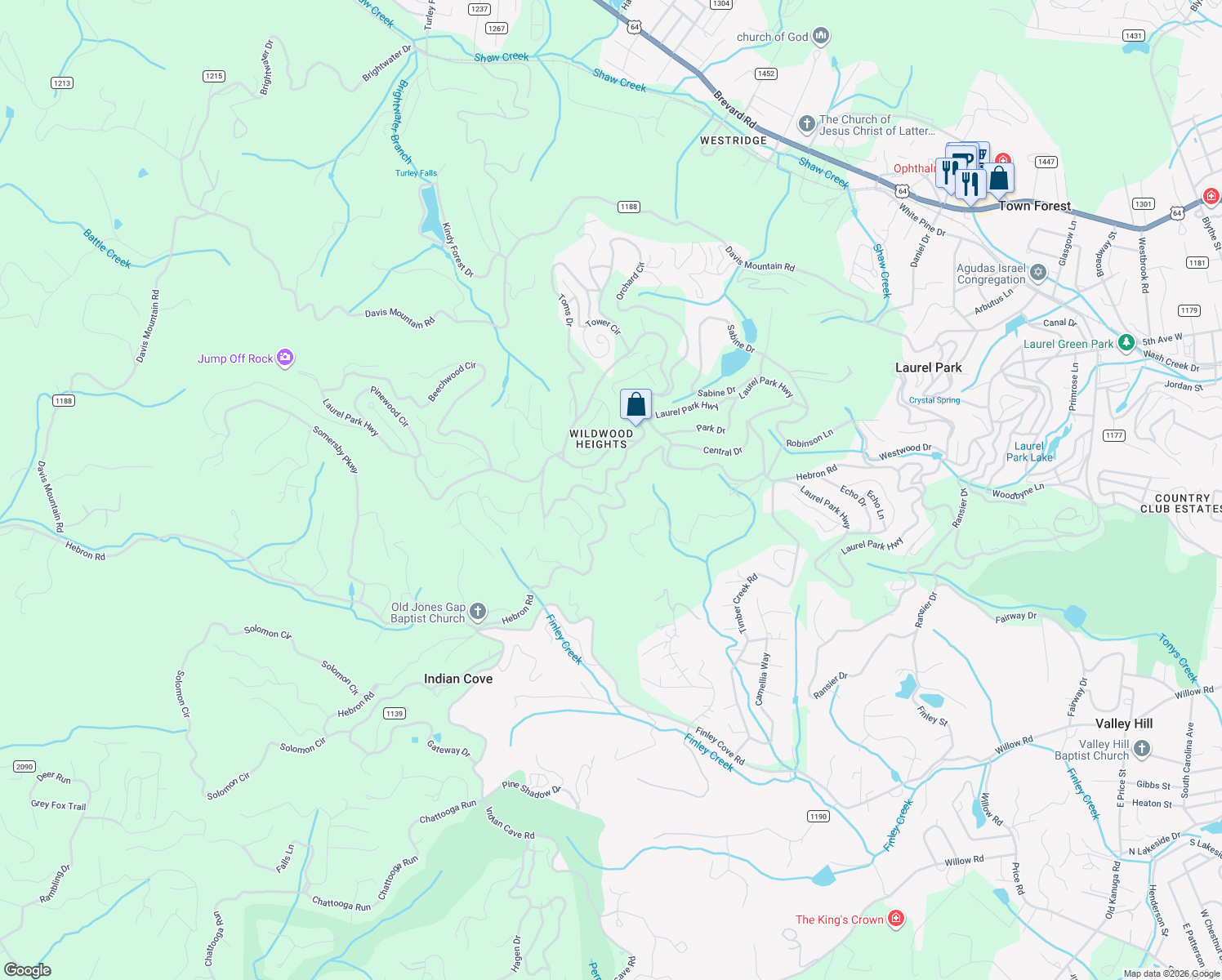 map of restaurants, bars, coffee shops, grocery stores, and more near 105 Spring Path in Laurel Park