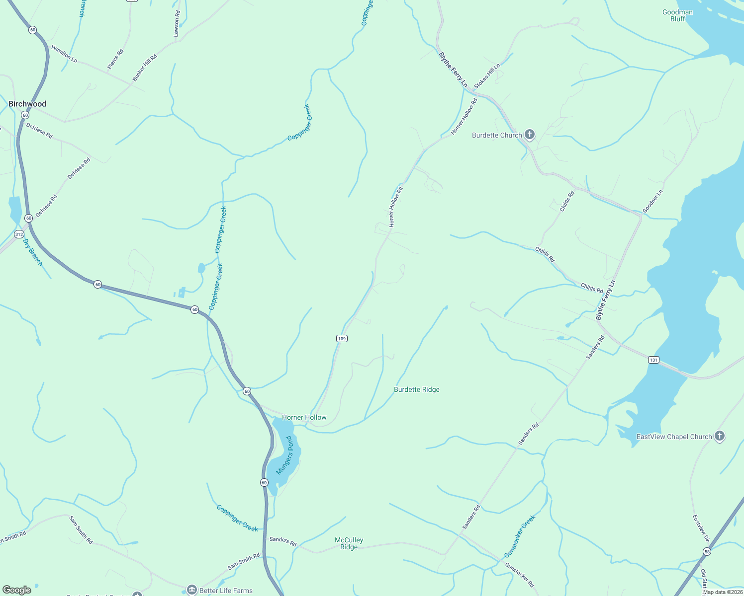 map of restaurants, bars, coffee shops, grocery stores, and more near 1087 Horner Hollow Road in Birchwood