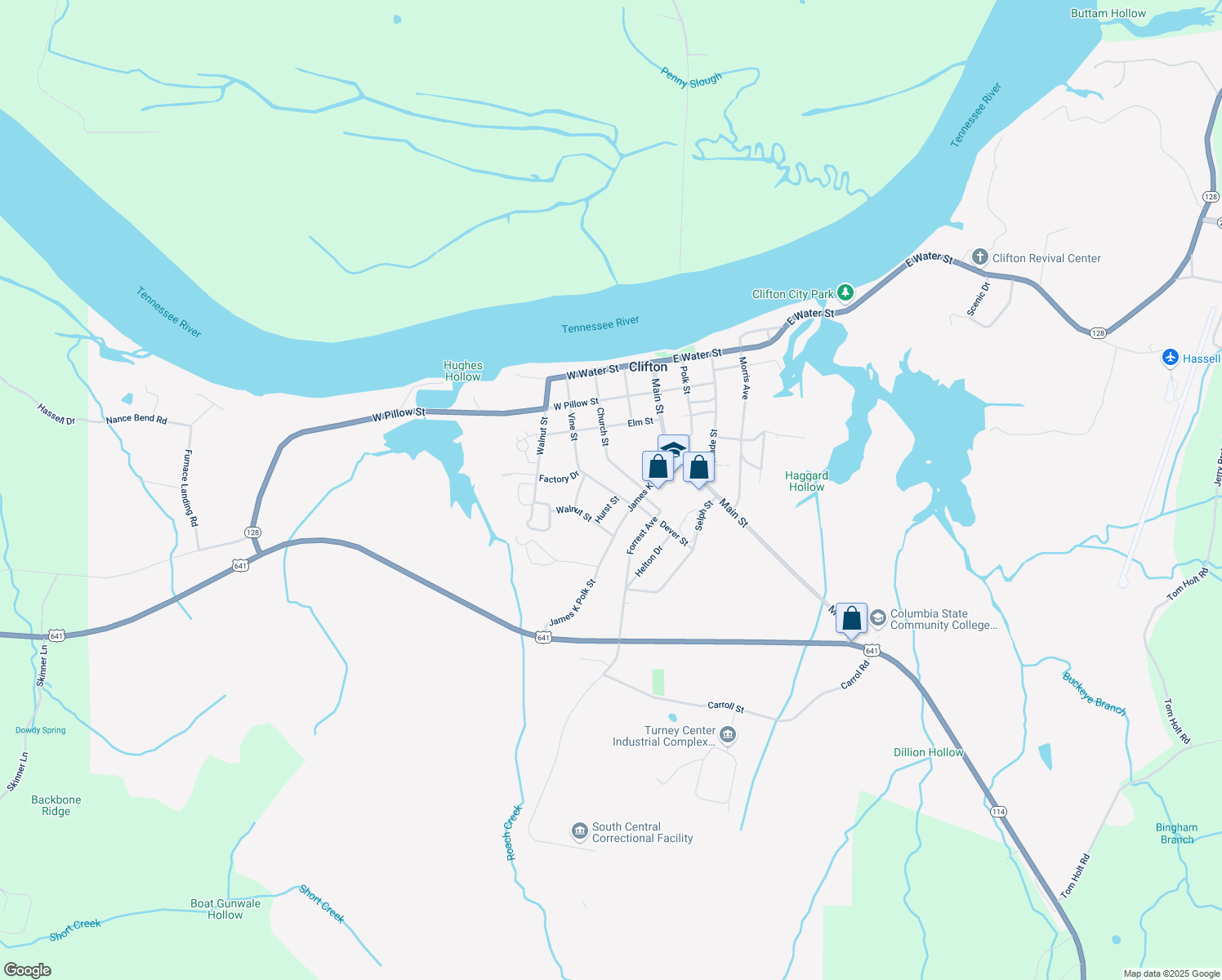 513 Vine Street, Clifton TN Walk Score