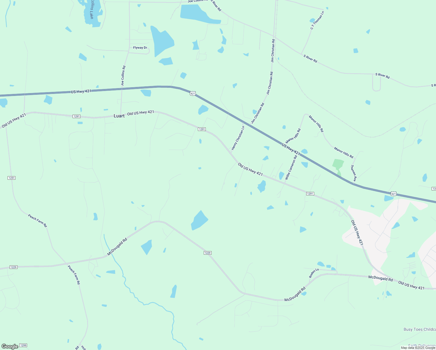 map of restaurants, bars, coffee shops, grocery stores, and more near 166 Brae Drive in Lillington