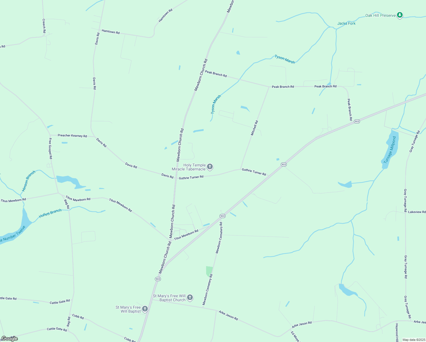map of restaurants, bars, coffee shops, grocery stores, and more near 478 Guthrie Turner Road in Snow Hill