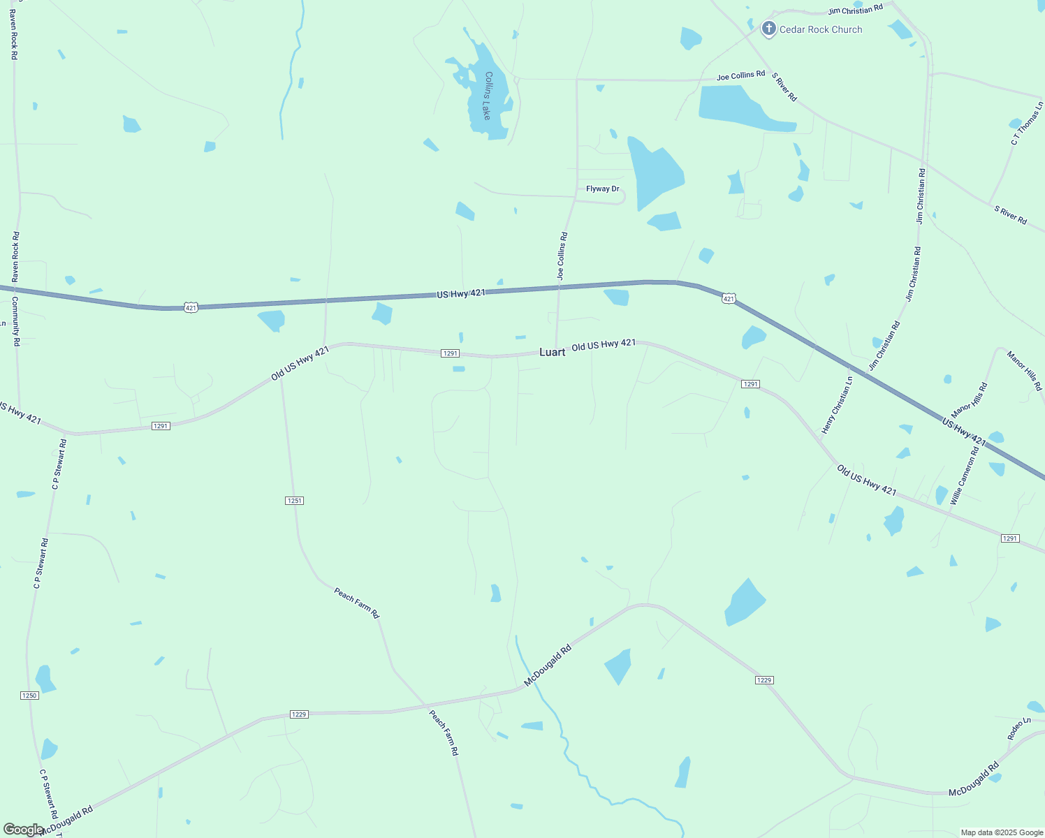 map of restaurants, bars, coffee shops, grocery stores, and more near 209 Widgeon Way in Lillington