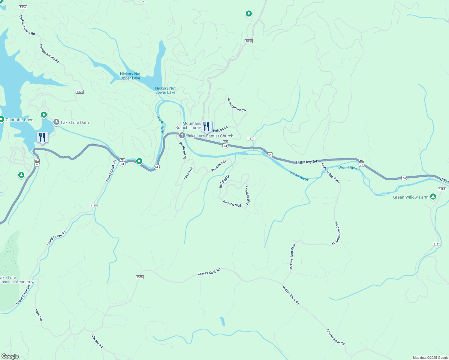 map of restaurants, bars, coffee shops, grocery stores, and more near 198 Wildcat Boulevard in Lake Lure