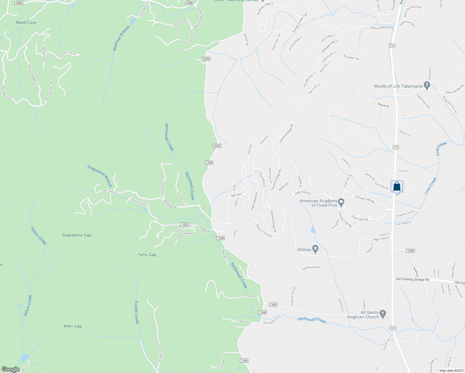map of restaurants, bars, coffee shops, grocery stores, and more near 101 Ivy Road in Mills River