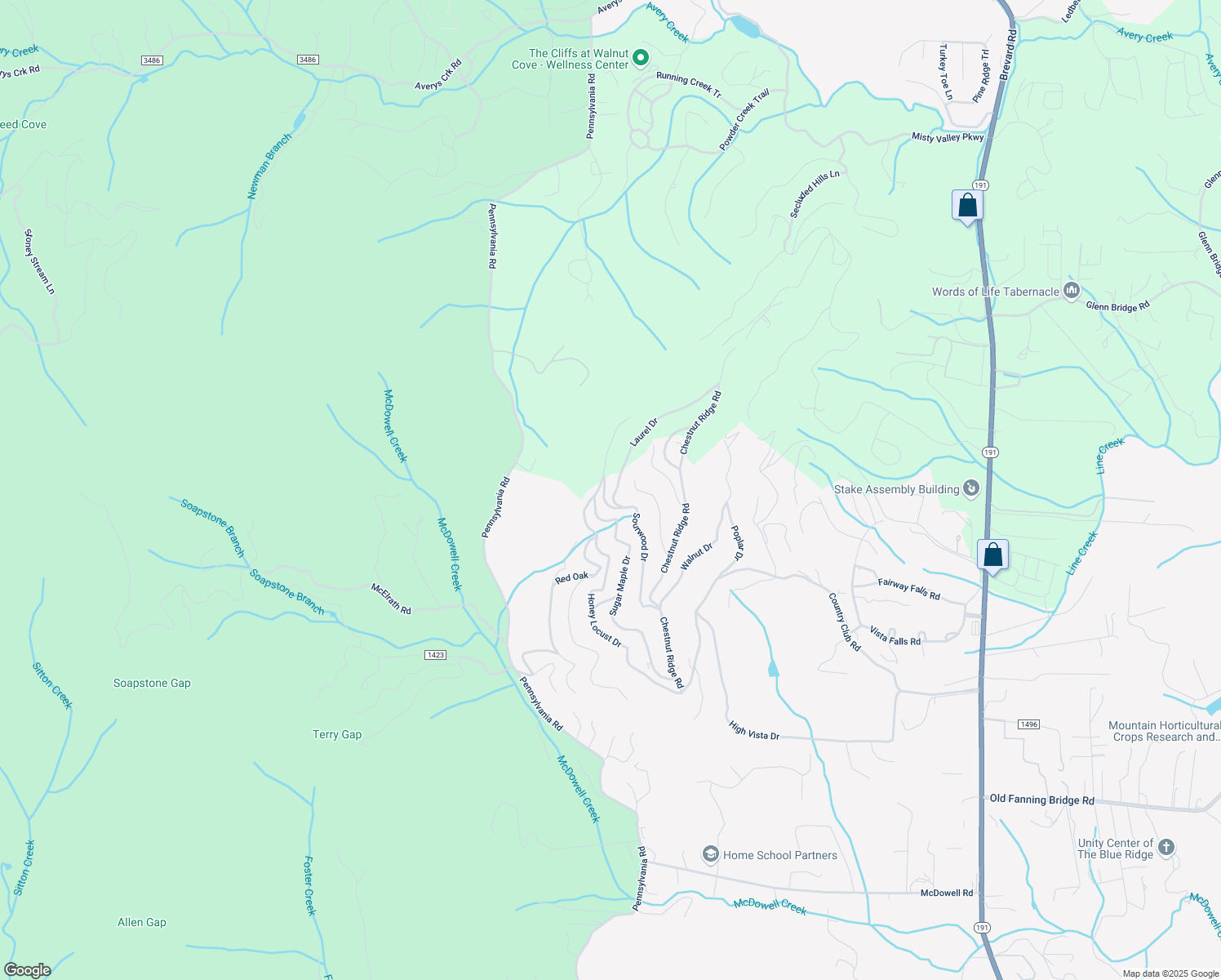 map of restaurants, bars, coffee shops, grocery stores, and more near 58 Sourwood Drive in Mills River