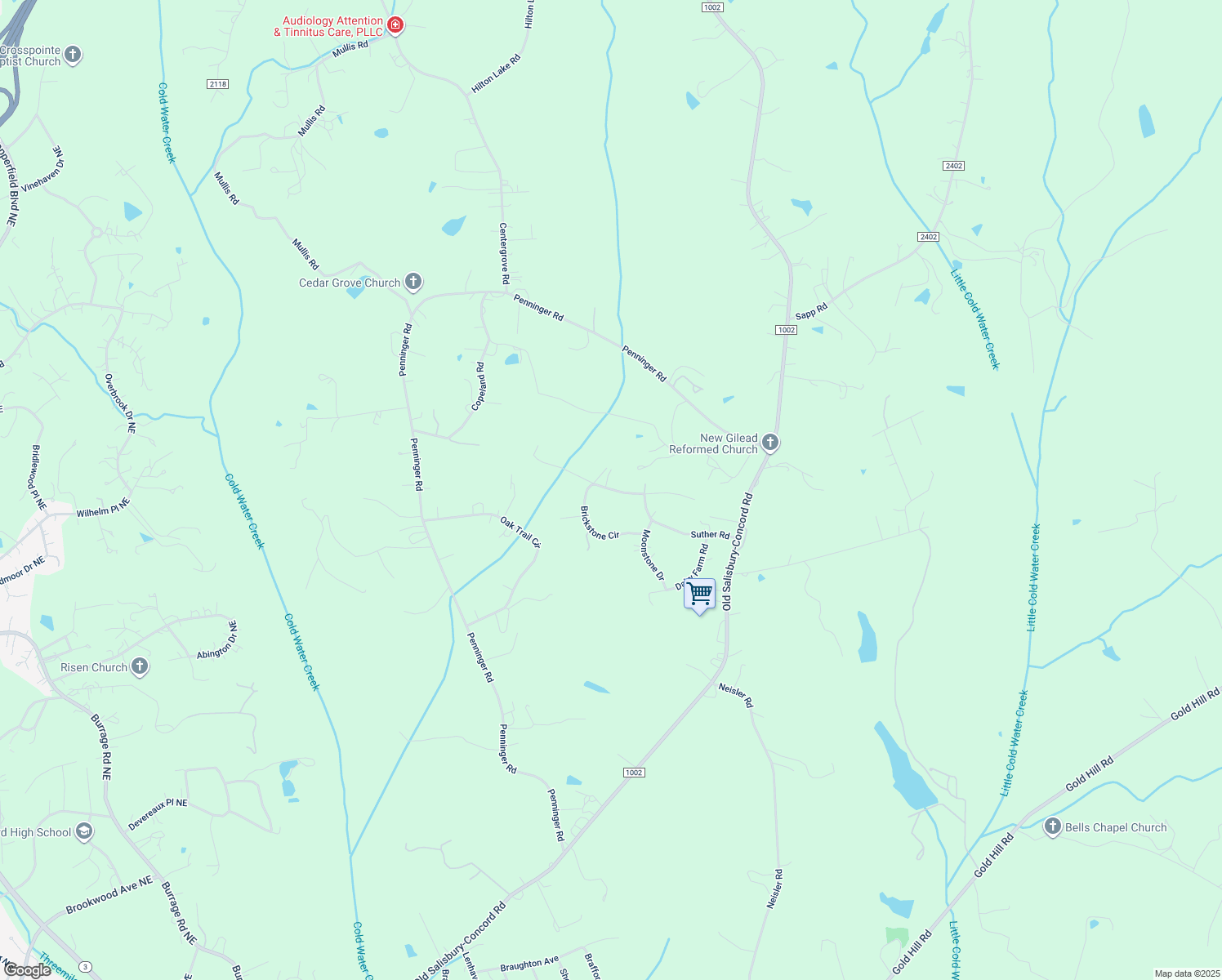 map of restaurants, bars, coffee shops, grocery stores, and more near Flowerfield Drive in Concord