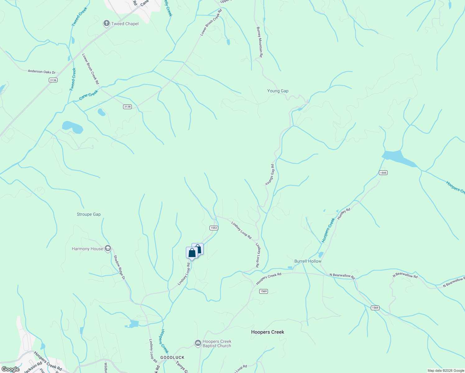 map of restaurants, bars, coffee shops, grocery stores, and more near 101 Youngs Gap Road in Fletcher