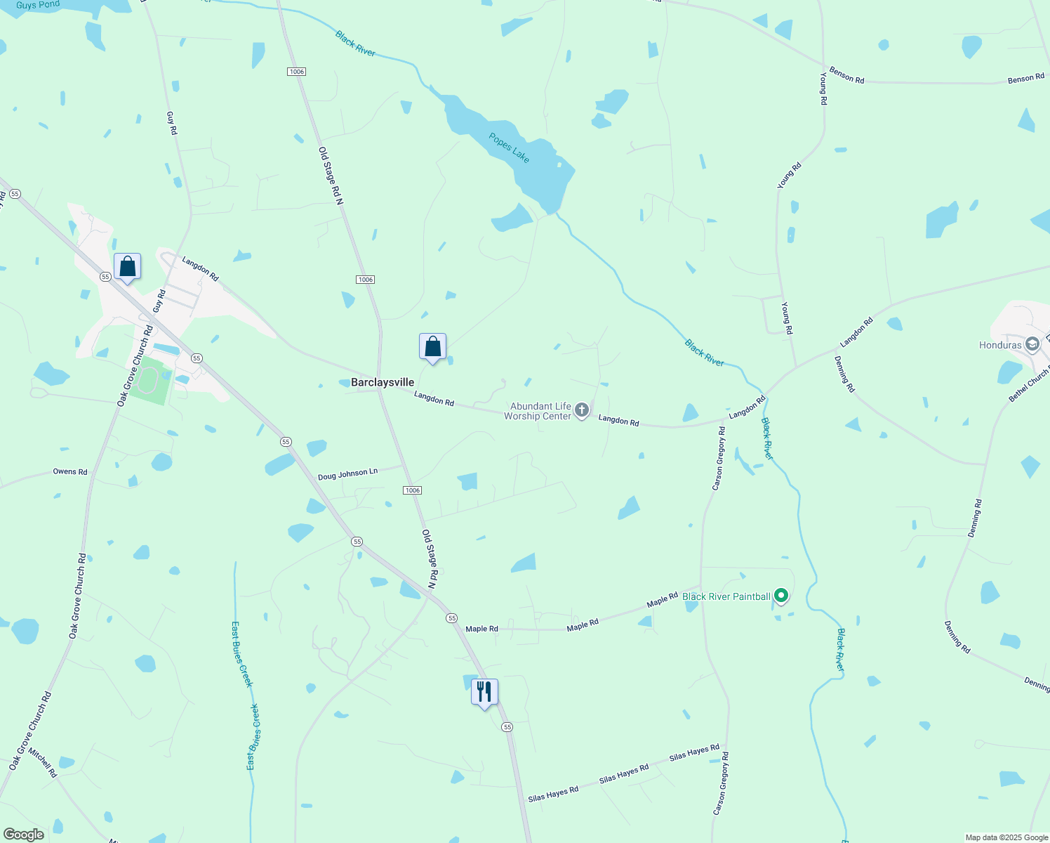 map of restaurants, bars, coffee shops, grocery stores, and more near 1334 Langdon Road in Angier