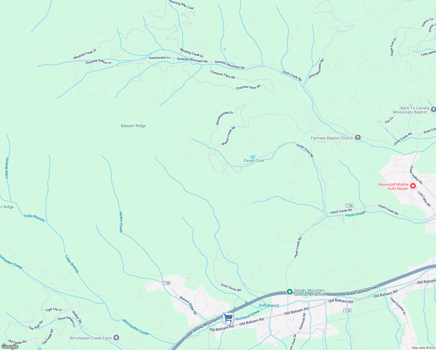 map of restaurants, bars, coffee shops, grocery stores, and more near 1559 Walnut Creek Road in Waynesville