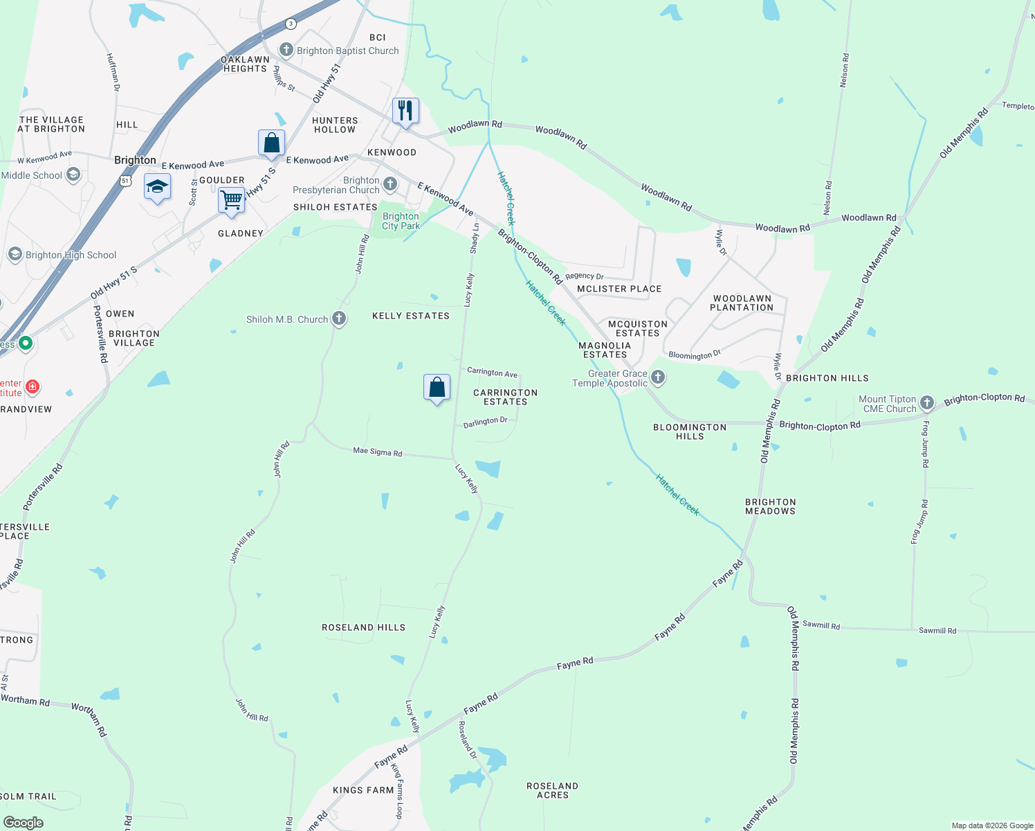 map of restaurants, bars, coffee shops, grocery stores, and more near Carrington Avenue in Brighton