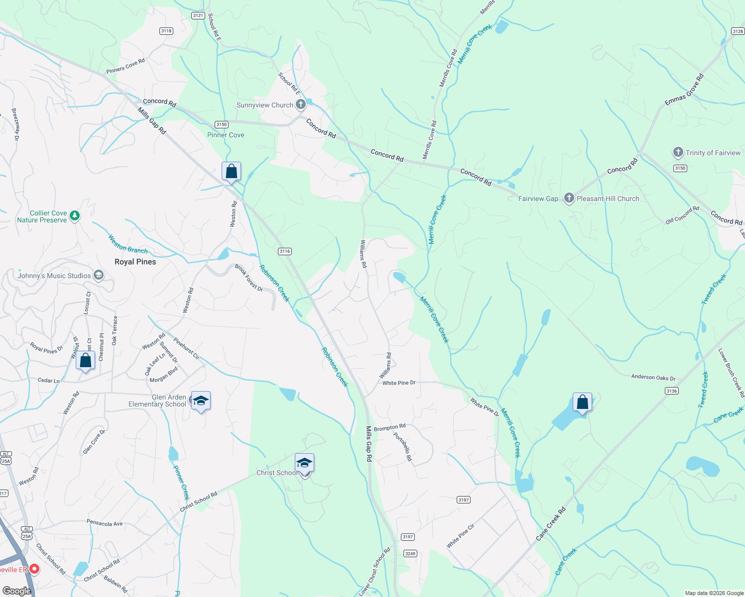map of restaurants, bars, coffee shops, grocery stores, and more near 152 Williams Rd in Fletcher
