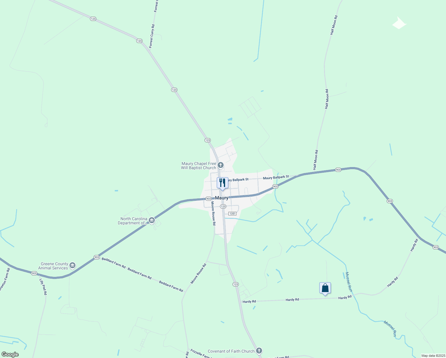 map of restaurants, bars, coffee shops, grocery stores, and more near 616 Maury Ballpark Street in Snow Hill