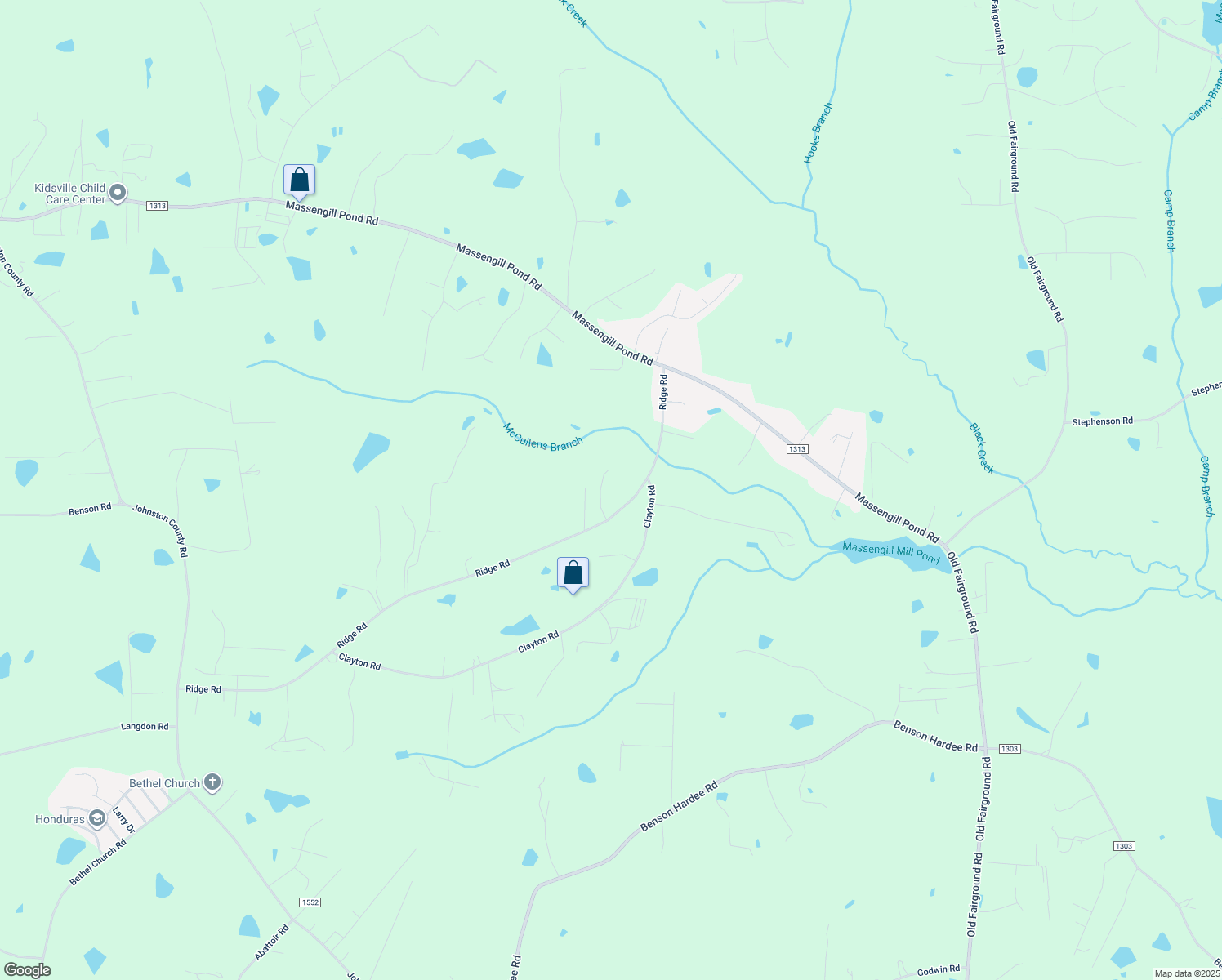 map of restaurants, bars, coffee shops, grocery stores, and more near 102 Dan Lane in Angier