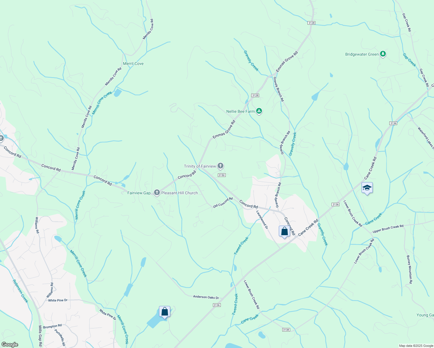 map of restaurants, bars, coffee shops, grocery stores, and more near 646 Concord Road in Fletcher