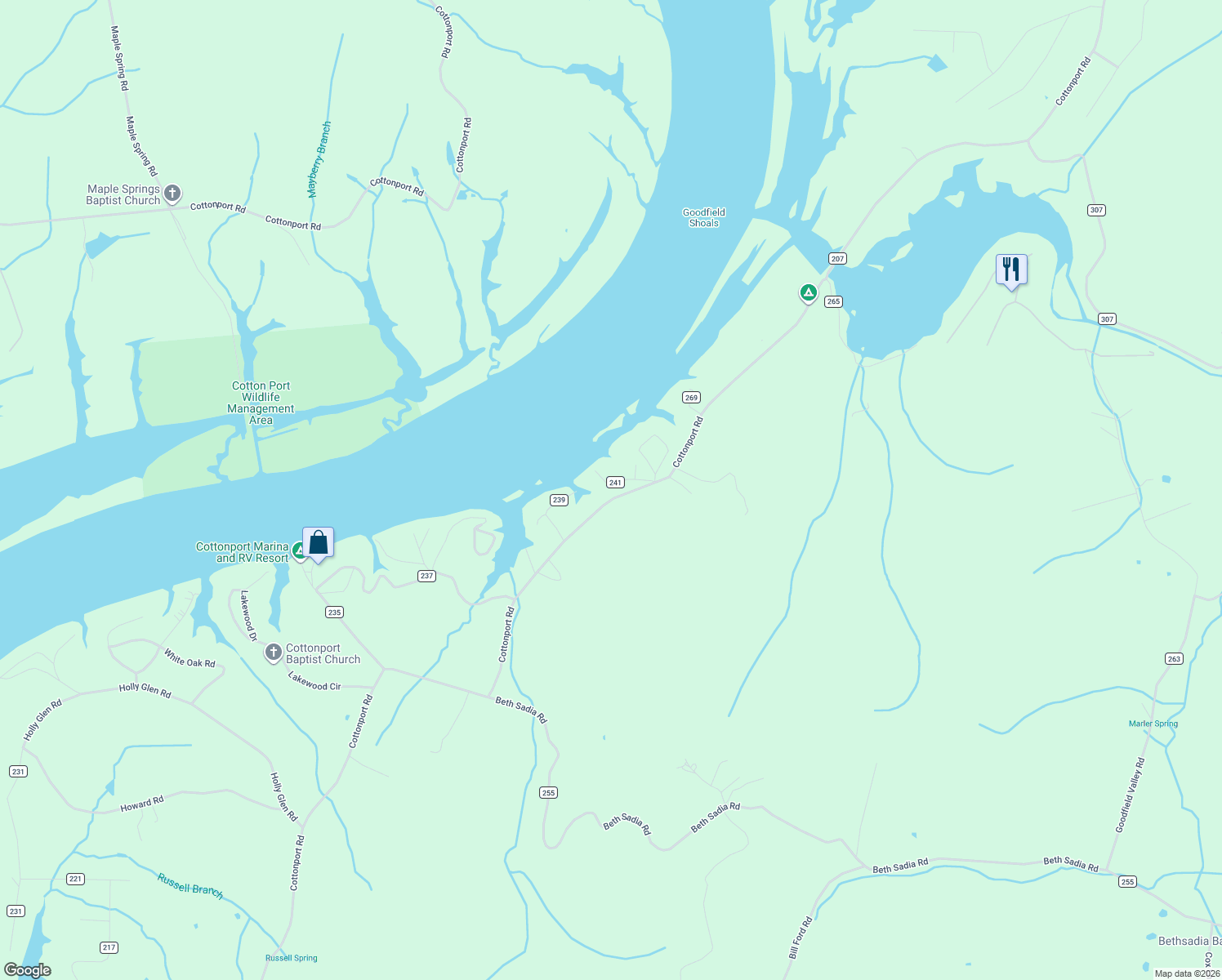 map of restaurants, bars, coffee shops, grocery stores, and more near County Road 241 in Decatur
