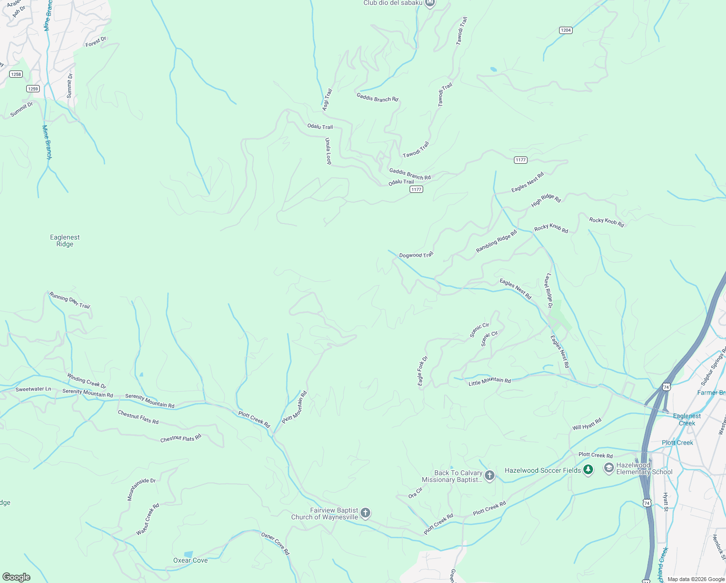 map of restaurants, bars, coffee shops, grocery stores, and more near 116 Dana Rd in Waynesville