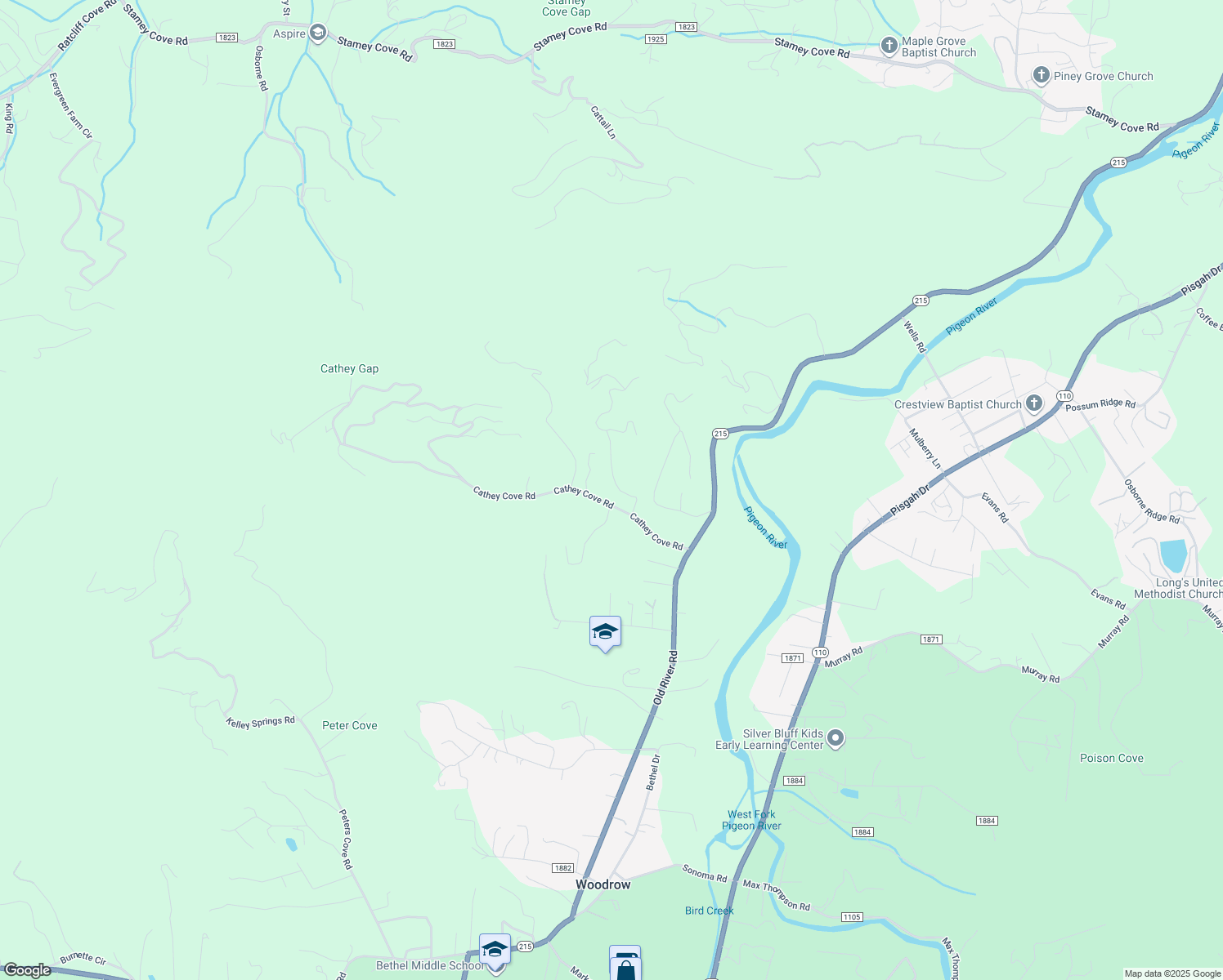 map of restaurants, bars, coffee shops, grocery stores, and more near 125 Mosa Drive in Waynesville
