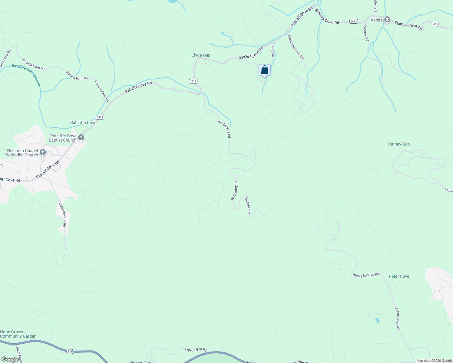 map of restaurants, bars, coffee shops, grocery stores, and more near 945 Brandywine Road in Waynesville